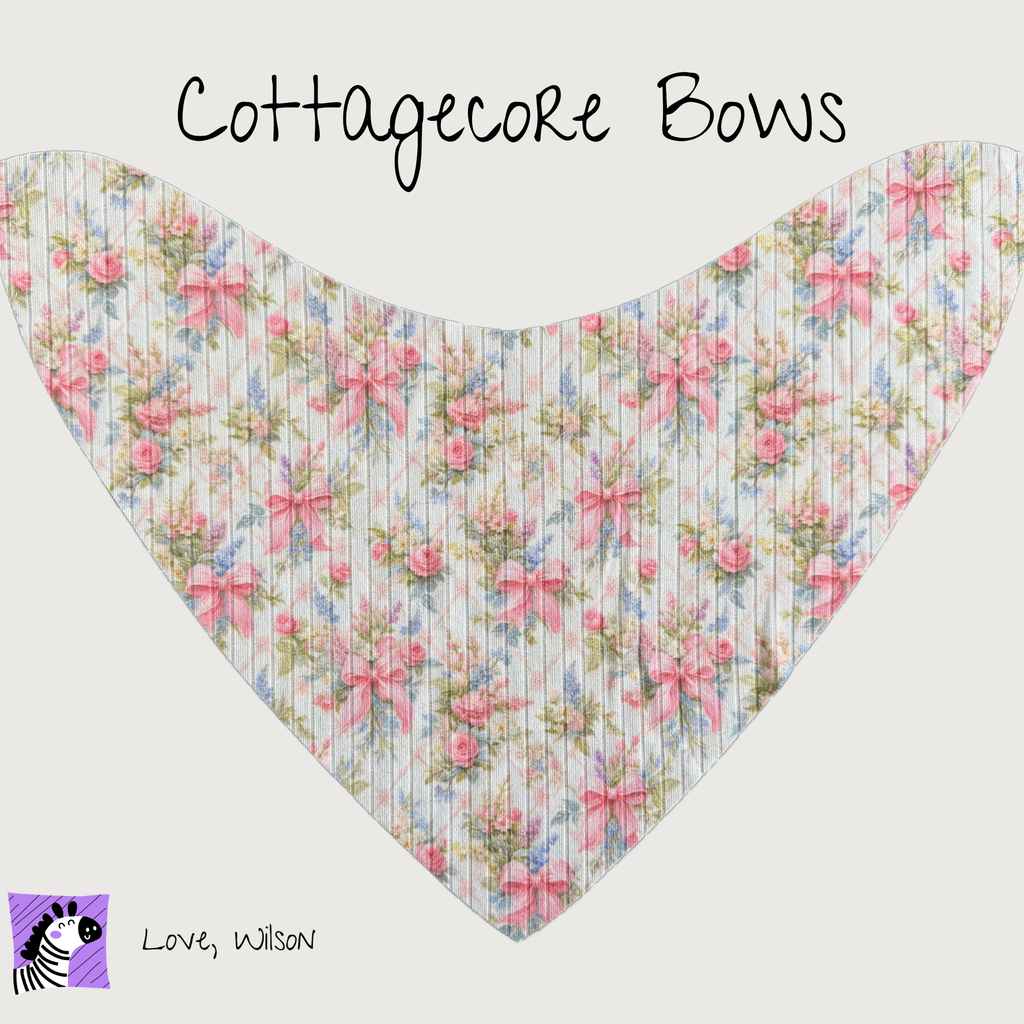 Girls Bibs | Child Size Medium (with super absorbent backing)
