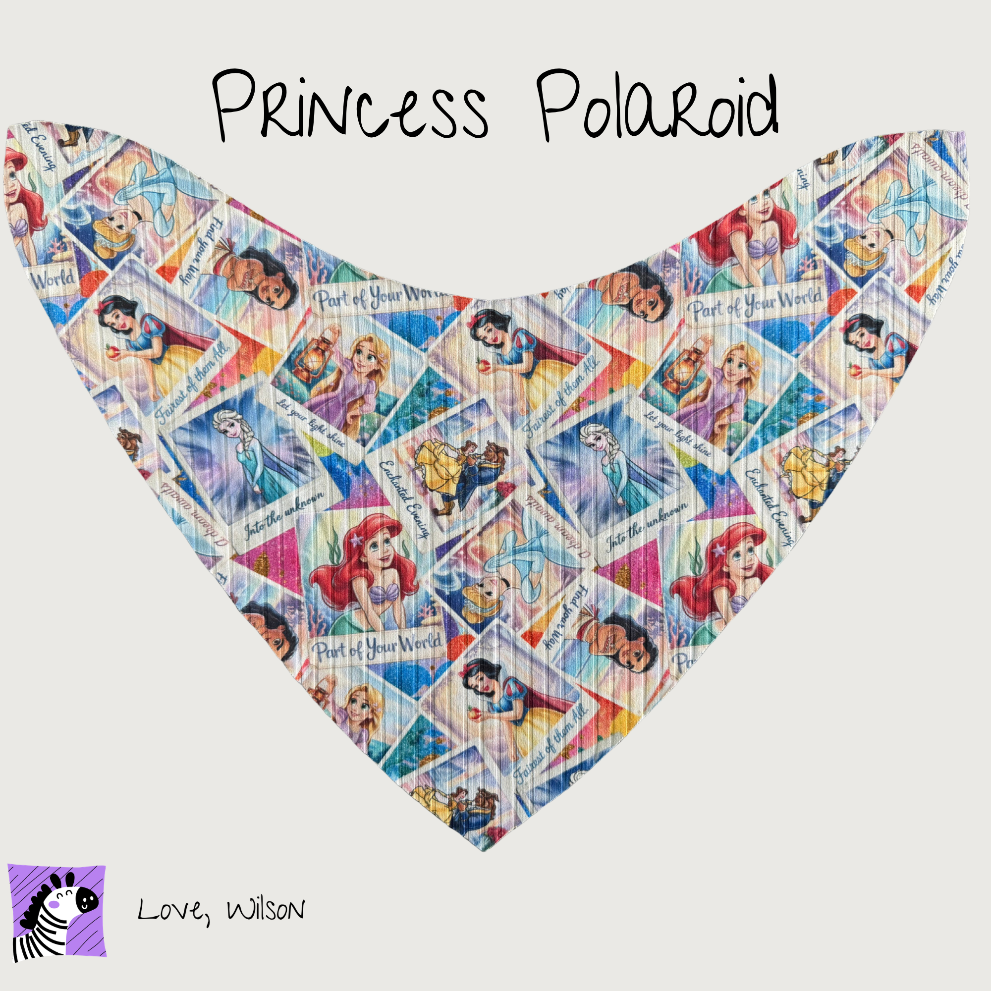 Girls Bibs | Child Size Medium (with super absorbent backing)