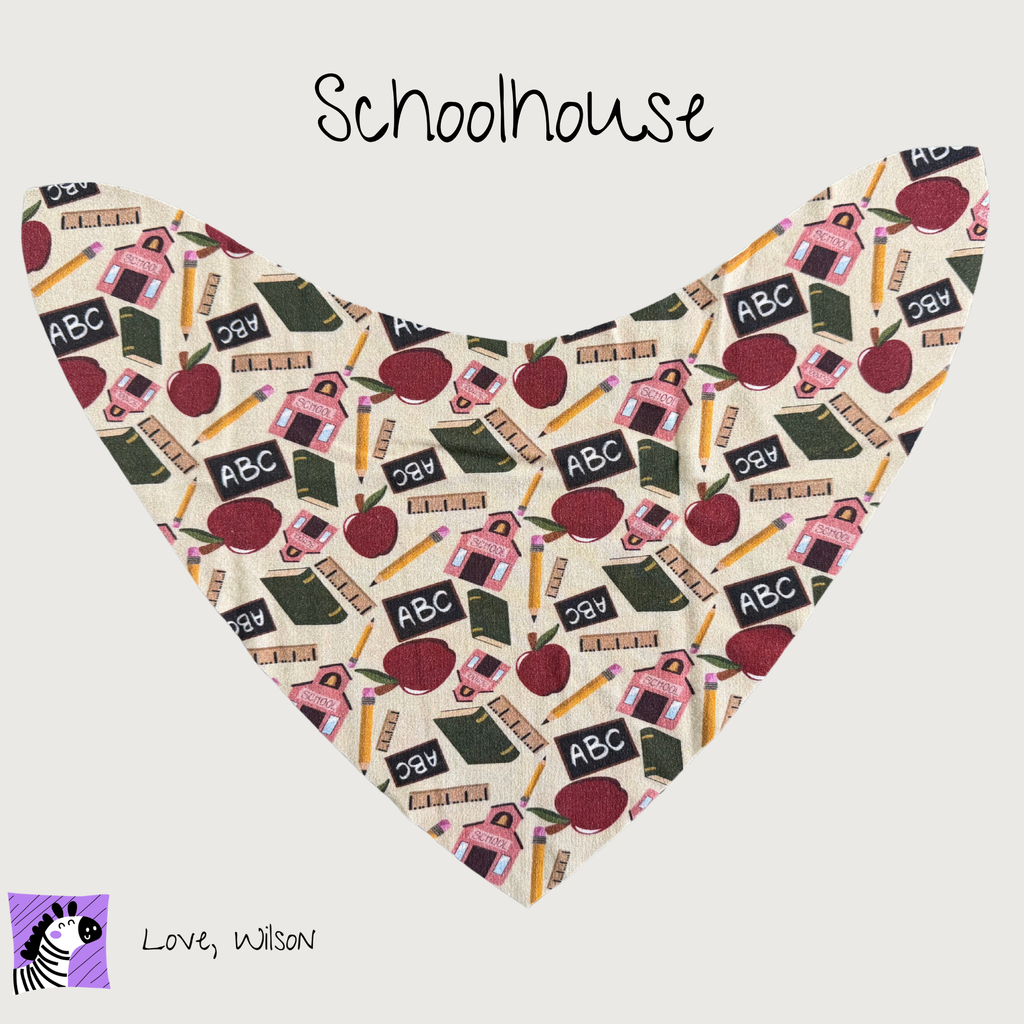 Boy Bibs | Child Size Medium (with super absorbent backing)